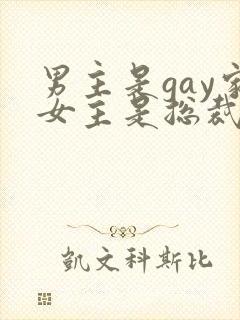 男主是gay家女主是总裁的小说推荐