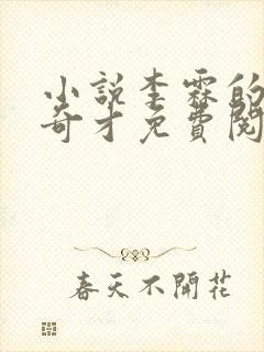 小说李霖的官场奇才免费阅读