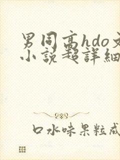 男同高hdo文小说超详细