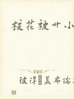 校花被艹小说封面
