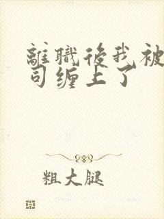 离职后我被前上司缠上了