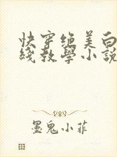 快穿绝美白莲在线教学小说txt