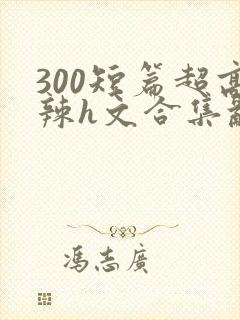 300短篇超高辣h文合集乱