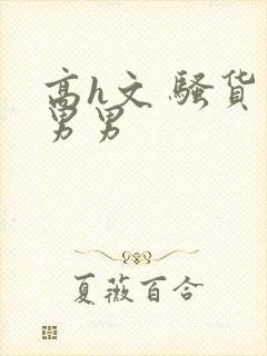 高h文 骚货 男男