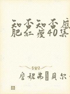 知否知否应是绿肥红瘦40集