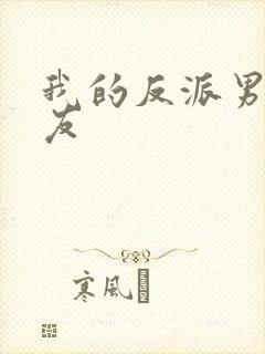 我的反派男友男友