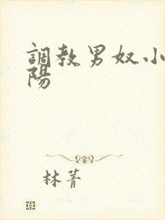 调教男奴小说虐阳封面