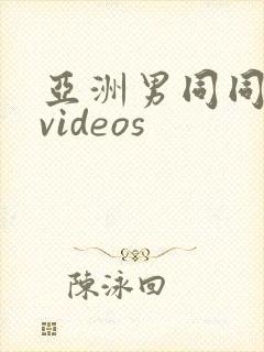 亚洲男同同性恋videos
