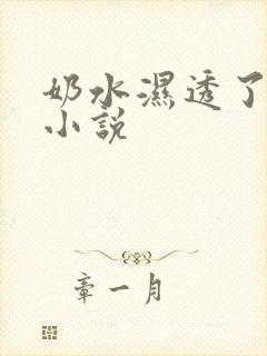 奶水湿透了乳罩小说