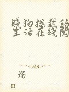 贱狗总裁的日常生活在线阅读