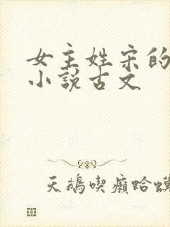 女主姓宋的重生小说古文