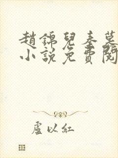 赵锦儿秦慕修的小说免费阅读全文