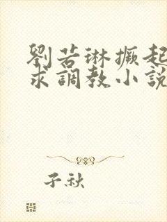 刘若琳撅起屁股求调教小说封面