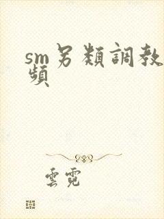 sm另类调教视频