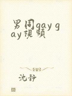 男同gay gay视频封面