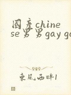 国产chinese男男gay gay视频网站