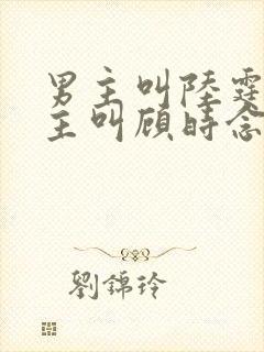 男主叫陆霆骁女主叫顾时念的小说封面