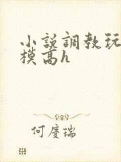 小说调教玩弄嫩模高h