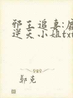 邪王追妻:废材逆天小姐txt