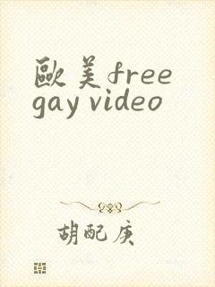 欧美free gay video