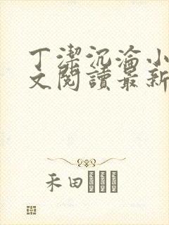 丁洁沉沦小说全文阅读最新章节更新
