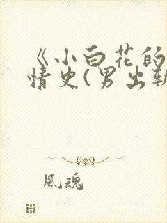 《小白花的淫欲情史(男出轨 高h)》封面