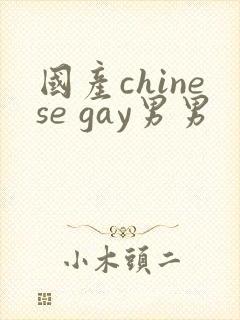 国产chinese gay男男封面