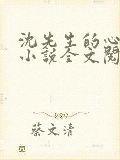 沈先生的心头宝小说全文阅读
