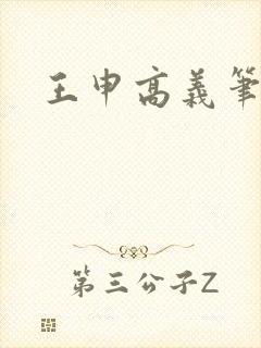 王申高义笔趣阁