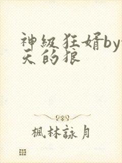 神级狂婿by吻天的狼
