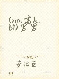 (np,高h,bl)男男封面