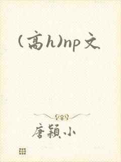 (高h)np文