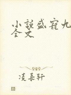 小说盛宠九皇妃全文封面