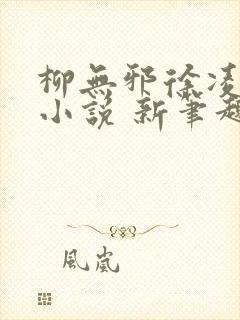柳无邪徐凌雪 小说 新笔趣阁封面
