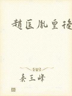 赵匡胤皇后结局