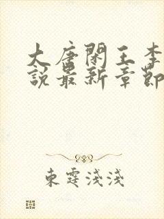 大唐闲王李慎小说最新章节列表