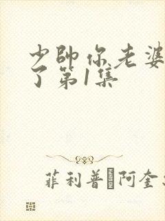 少帅你老婆又跑了第1集
