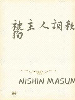 被主人调教成母狗