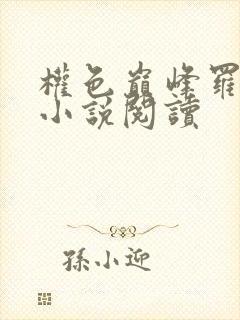 权色巅峰罗泽凯小说阅读