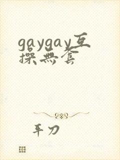 gaygay互操无套