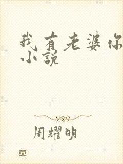 我有老婆你有吗小说