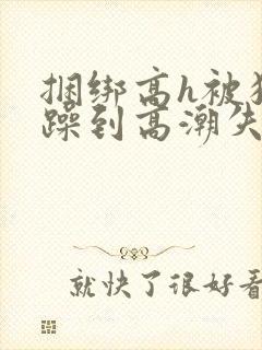 捆绑高h被狂c躁到高潮失禁视频封面