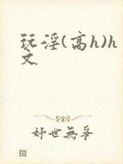 玩淫(高h)h文