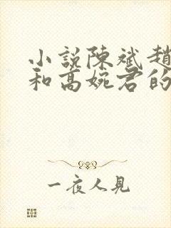 小说陈斌赵心媚和高婉君的小说免费阅读