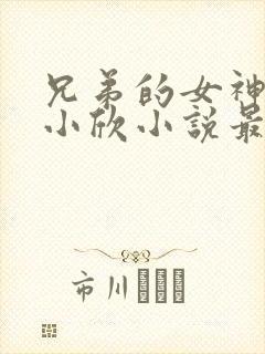 兄弟的女神女友小欣小说最新章节更
