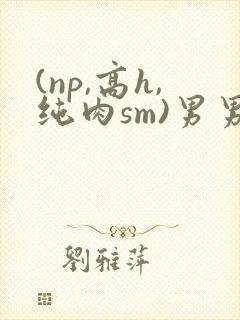 (np,高h,纯肉sm)男男