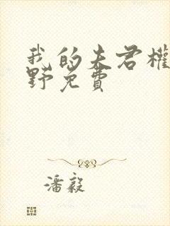 我的夫君权倾朝野免费