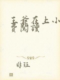 王爷在上小说免费阅读