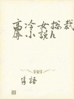 高冷女总裁的屈辱小说h