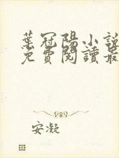 叶冠阳小说全文免费阅读最新章节